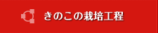 製造工程