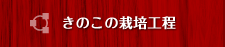製造工程